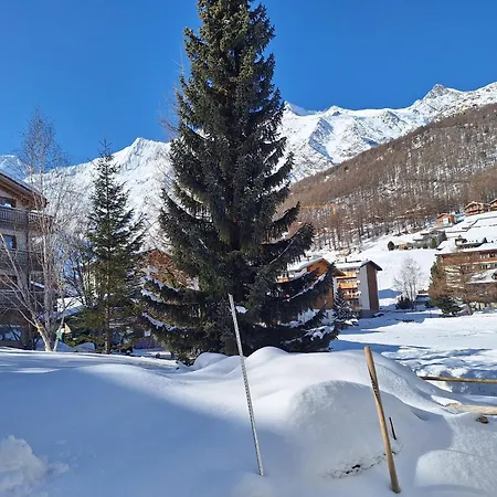 Apartament Silberdistel Eg Saas-Fee